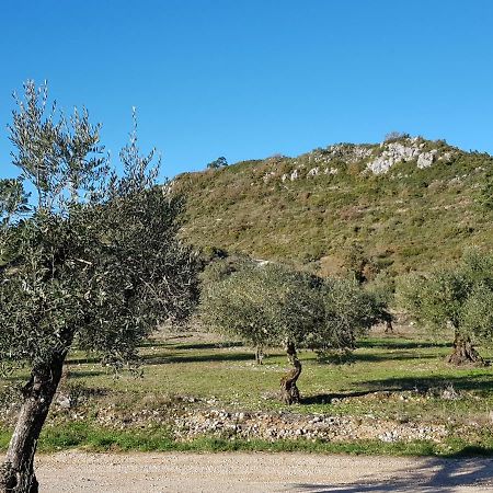 Casa Das Oliveiras Alvados Luaran gambar
