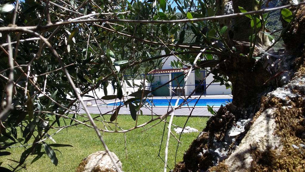 Casa Das Oliveiras Alvados Luaran gambar