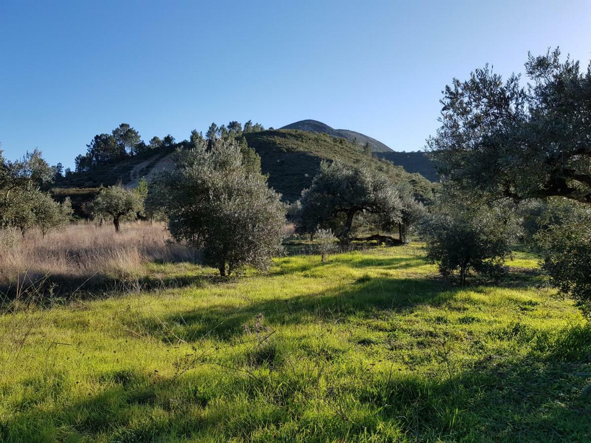 Casa Das Oliveiras Alvados Luaran gambar
