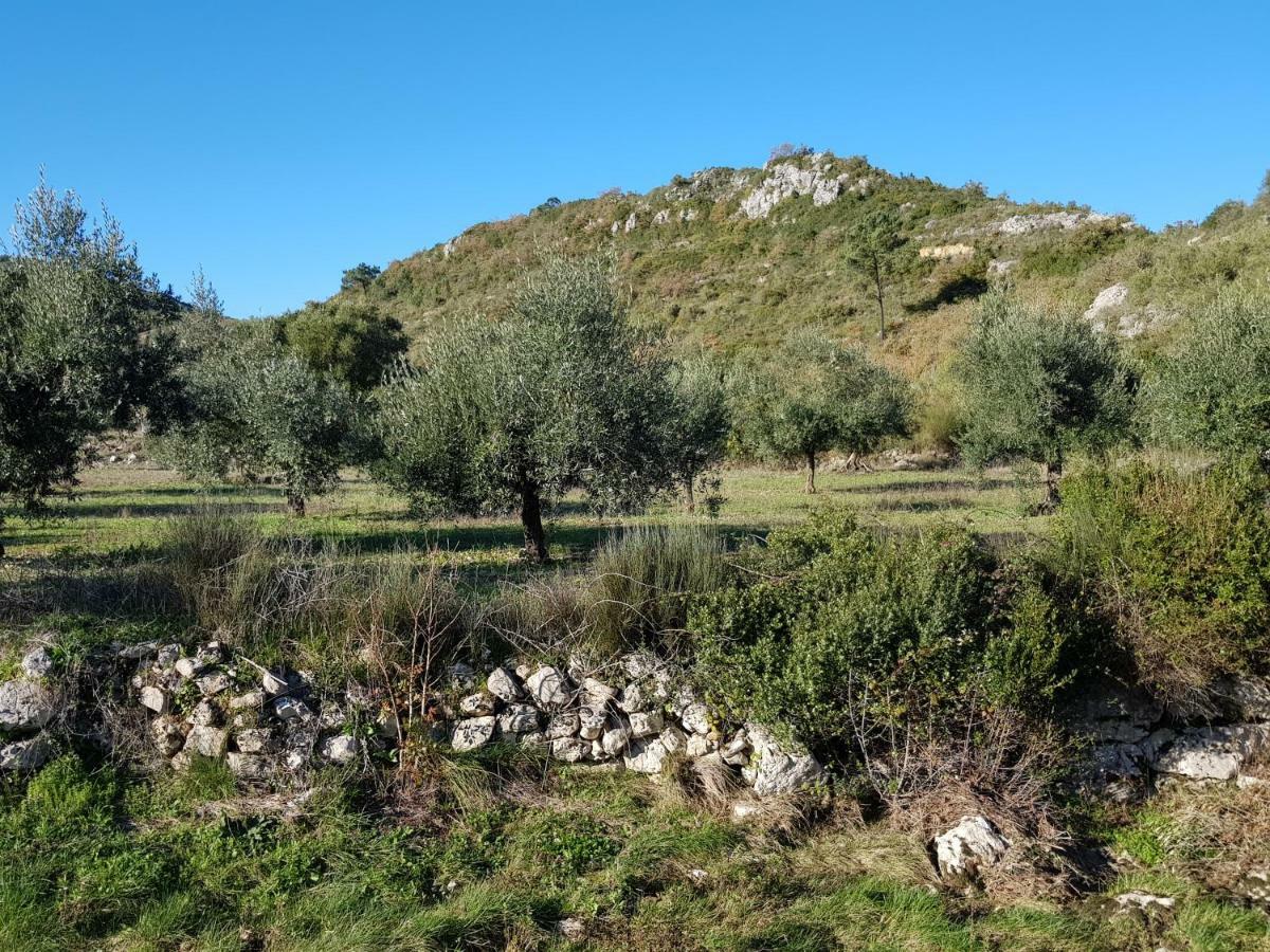 Casa Das Oliveiras Alvados Luaran gambar